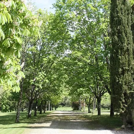 The Farmhouse 乡村民宿 Naussannes